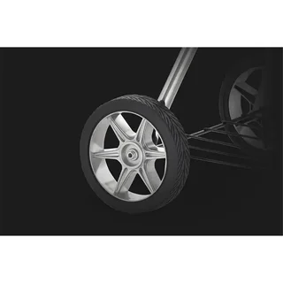 Barbacoa de Carbón Portátil Napoleon Rodeo 47 cm con Medidor de Temperatura