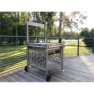 Barbacoa Carbón Vegetal Acero Inoxidable Portátil Jardín Terraza Profesional