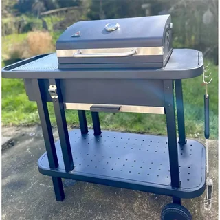 Barbacoa de Carbón Start'N'Grill Encendido Automático Ecológico 220V USB