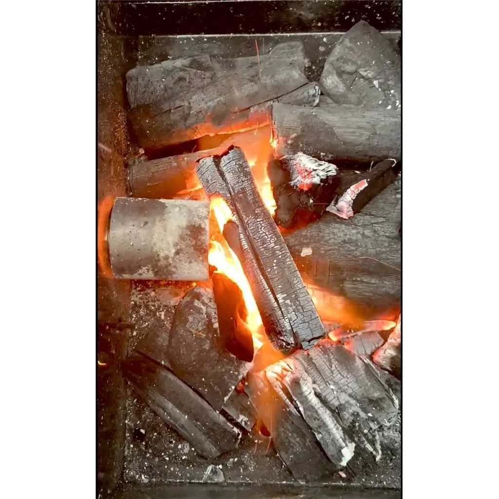 Barbacoa de Carbón Start'N'Grill Encendido Automático Ecológico 220V USB