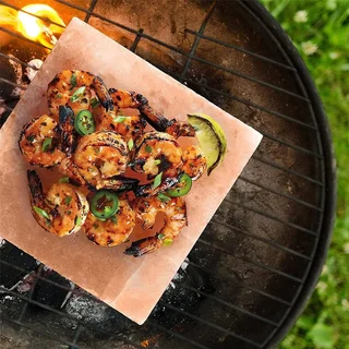 Bloque de Sal del Himalaya 20x10x5cm Steven Raichlen - Piedra Natural para Barbacoa Parrilla