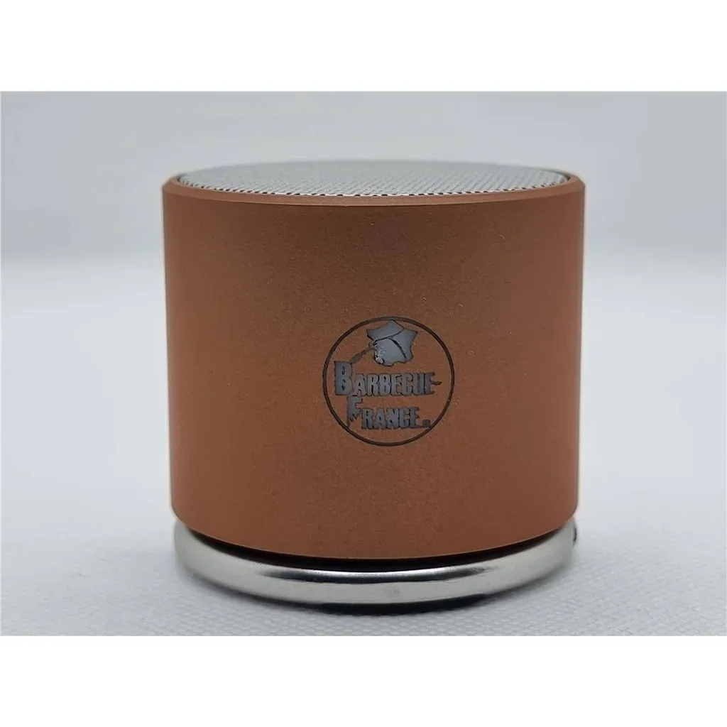 Altavoz Bluetooth de lujo oro rosa - Diseño compacto premium con doble salida estéreo y mosquetón