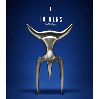 Tenedor carne TRIDENS acero inoxidable mango madera soporte haya grabado