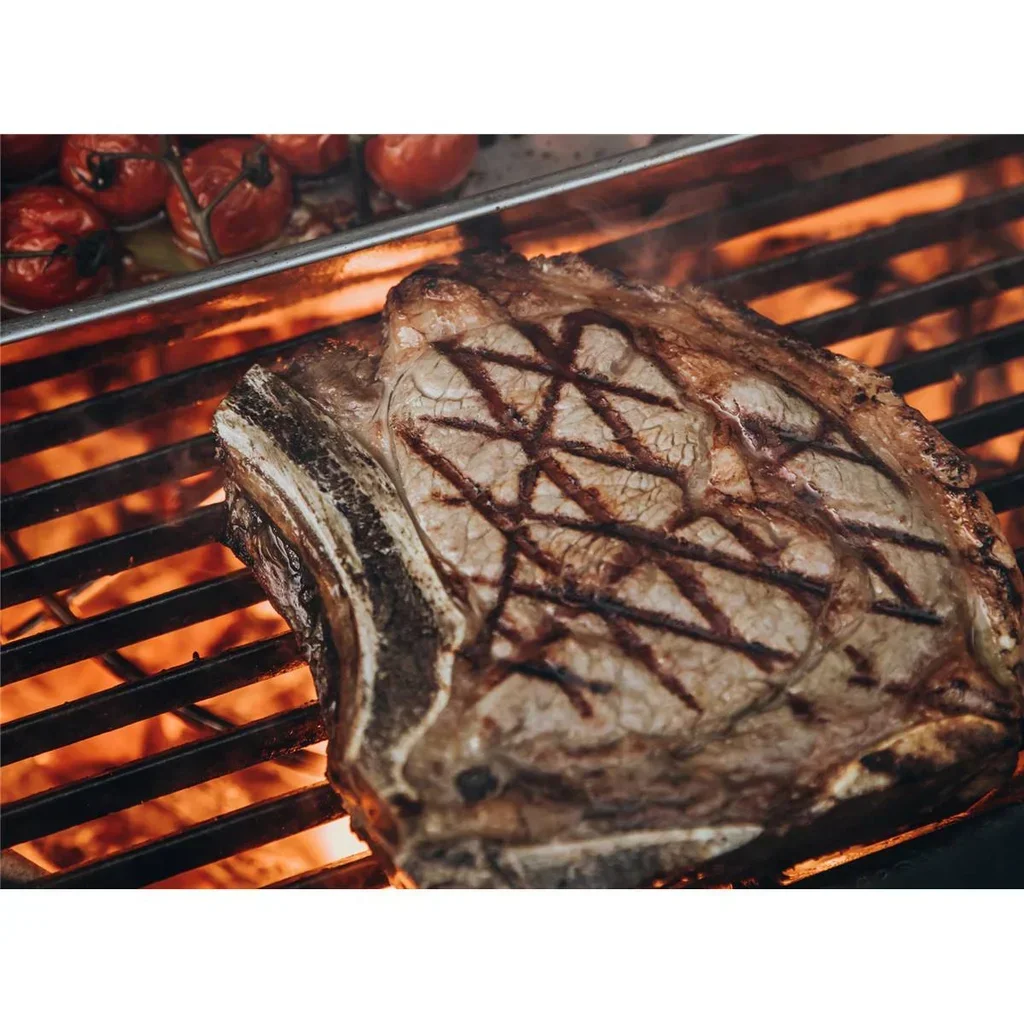 Grille fonte demi-taille Monolith CLASSIC barbecue 4.5kg