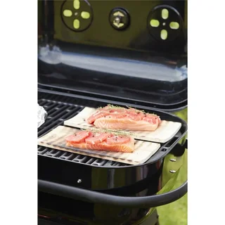 Lotto 2 tavole affumicatura legno ontano massello 30x14cm barbecue pesce carne