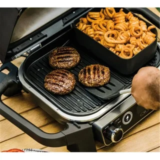 Cesta crujiente para patatas fritas barbacoa eléctrica Ninja Woodfire 23 cm