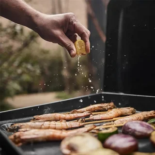 Plancha de Gas Weber Slate GP 43 cm Portátil Hierro Fundido Esmaltado 6-8 Personas