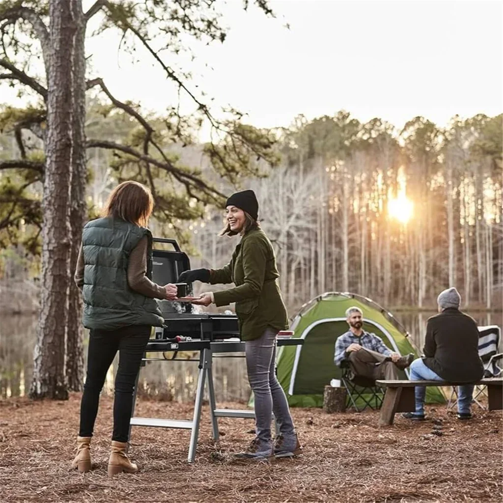 Plancha de Gas Weber Slate GP 43 cm Portátil Hierro Fundido Esmaltado 6-8 Personas