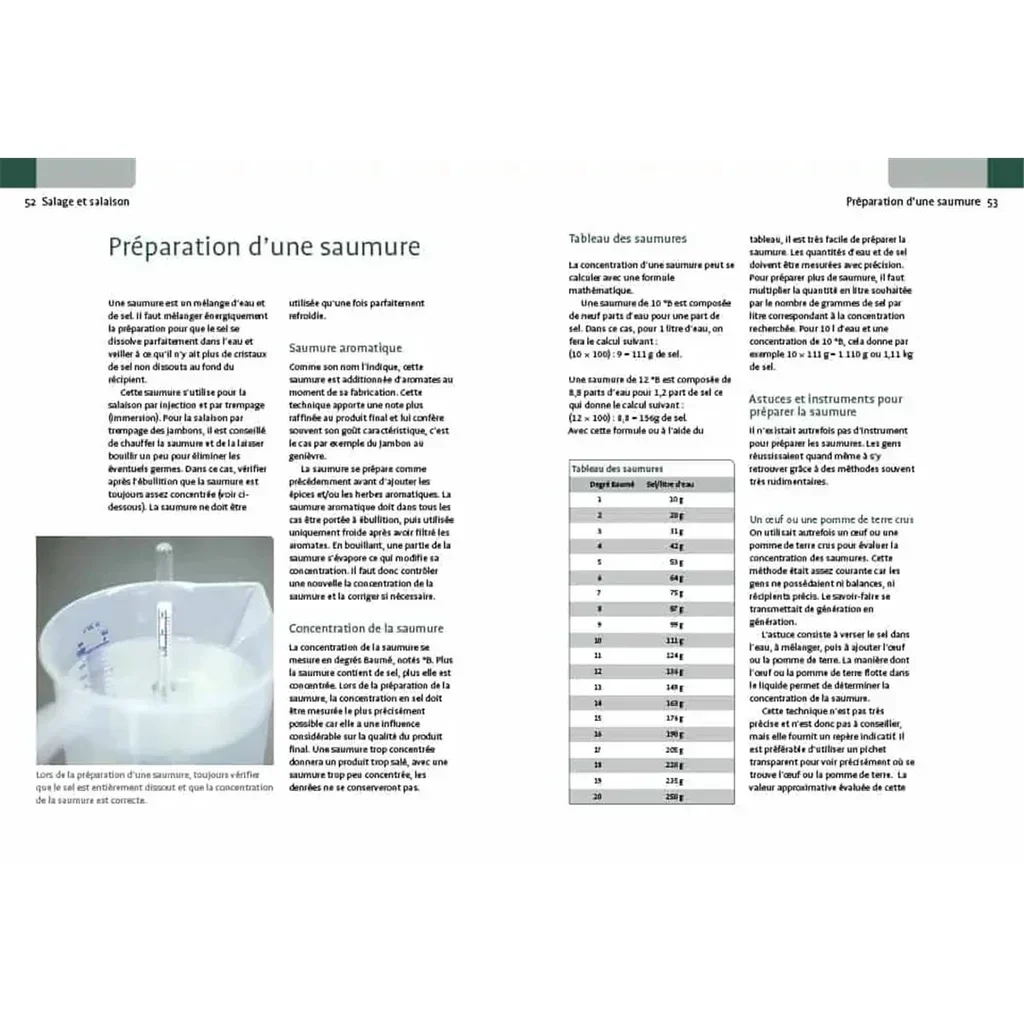 Kit de Salado y Ahumado Casero - Guía de Conservación de Carne por Bernhard Gahm